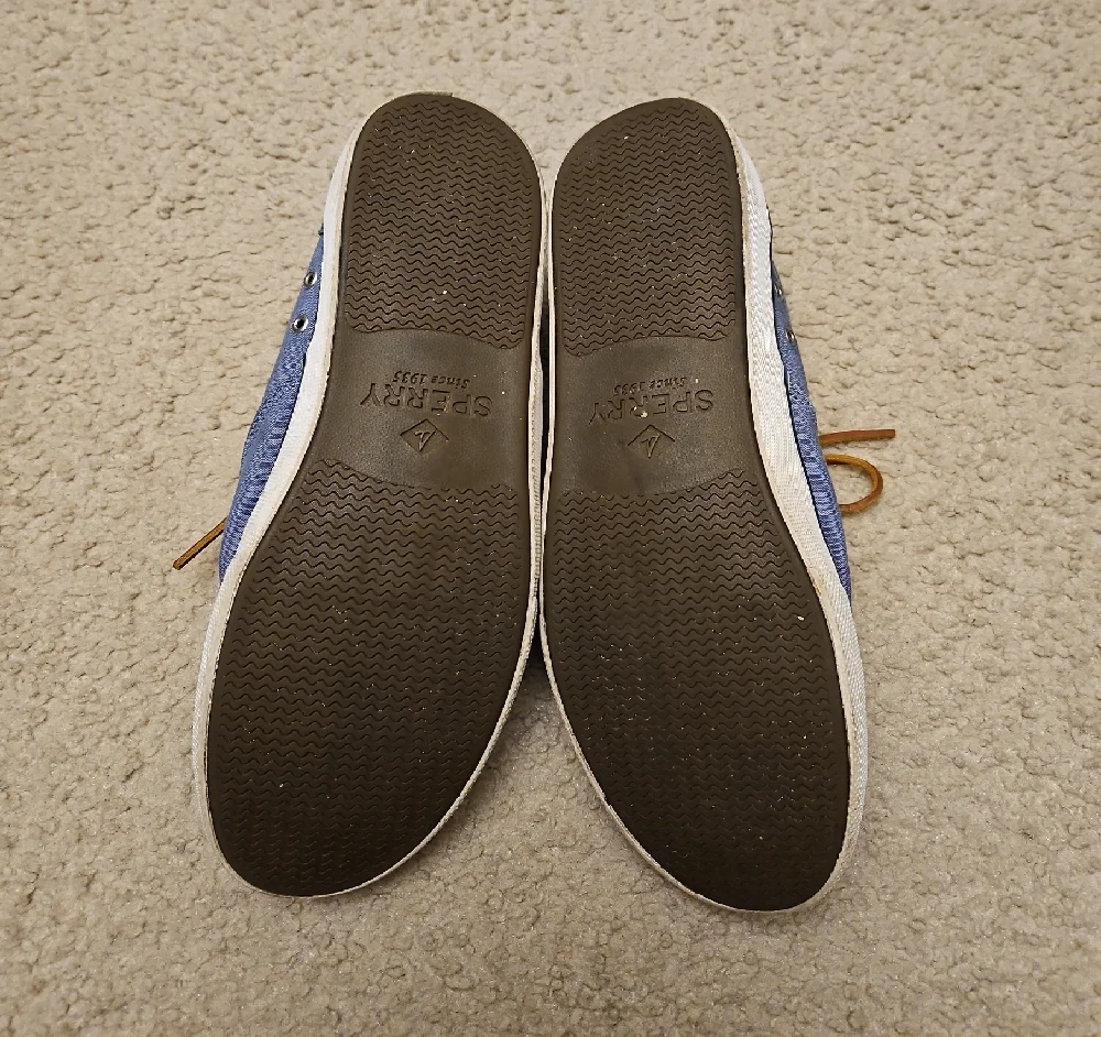 Sperry Men's Light Blue Boat Shoes